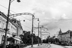 PiP_07704-1
