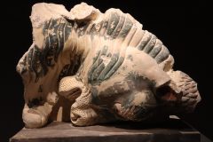 IMG_3096-1-scaled