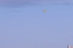 IMG_2245_2